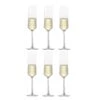 Zwiesel Glas Champagneglazen Pure - 215 Ml - 6 Stuks -Keukenbenodigdheden Winkel 112415 Pure Sekt 7 mitInhalt 000013433 59385 6 stuks
