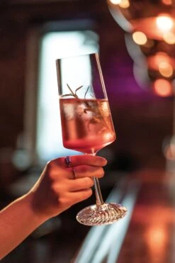 Zwiesel Glas Champagneglazen Echo - 395 Ml - 4 Stuks -Keukenbenodigdheden Winkel 4001836117838 4