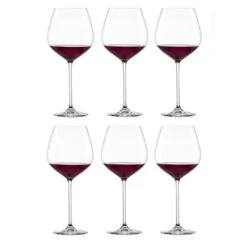 Schott Zwiesel Gin Tonic Glazen Fortissimo - 740 Ml - 6 Stuks -Keukenbenodigdheden Winkel CL.22425 Fortissimo Burgunder Gr140 fstb 1