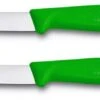 Victorinox Schilmes Swiss Classic - Groen - 2 Stuks