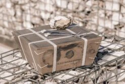 Anovi Oestervorkjes - 4 Stuks -Keukenbenodigdheden Winkel Oysterforks