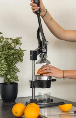 Sareva Citruspers - Gietijzer - Hevelmodel - Zwart -Keukenbenodigdheden Winkel citruspers 3 1