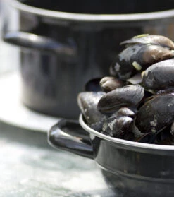 Cosy & Trendy Mosselpan - Oranje - ø 18 Cm / 2.8 Liter -Keukenbenodigdheden Winkel mosselpan 4