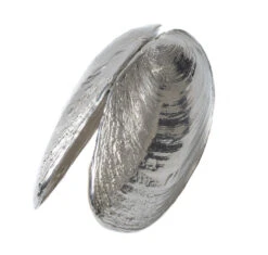 Anovi Mosselschep -Keukenbenodigdheden Winkel product 5 3