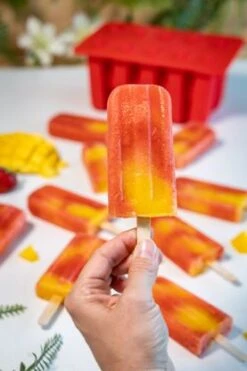 Sareva IJsjesmaker Voor 10 Ijsjes - Rood - Siliconen + 150 Houten IJsstokjes -Keukenbenodigdheden Winkel sareva ijsjesmaker 2