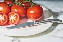 Laguiole Style De Vie Steakmessen Premium Line RVS 6 Stuks 10 Laguiole Style De Vie Steakmessen Premium Line RVS 6 Stuks -Keukenbenodigdheden Winkel sf premium line rvs5